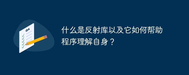 什么是反射库以及它如何帮助程序理解自身？