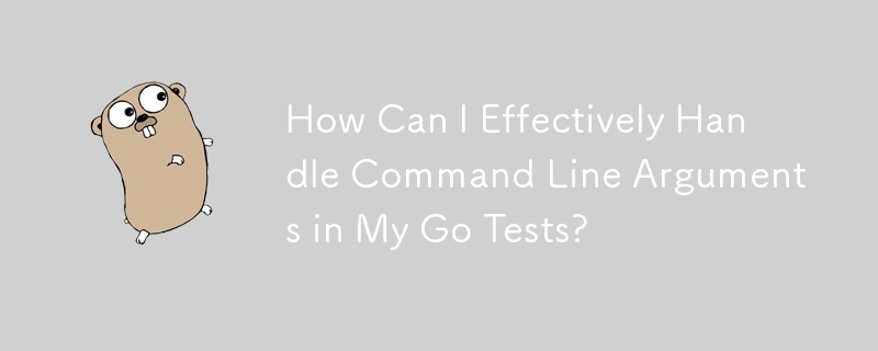 How Can I Effectively Handle Command Line Arguments in My Go Tests?