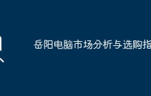 岳阳电脑市场分析与选购指南