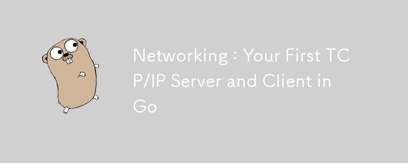 Networking : Your First TCP/IP Server and Client in Go