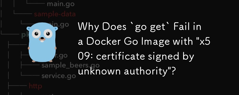 Why Does `go get` Fail in a Docker Go Image with \'x509: certificate signed by unknown authority\'?