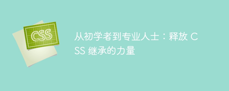 从初学者到专业人士：释放 CSS 继承的力量 - 小浪资源网