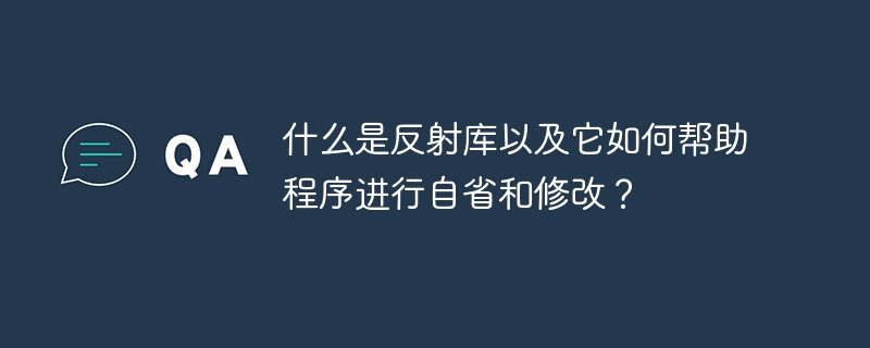 什么是反射库以及它如何帮助程序进行自省和修改？ - 小浪资源网