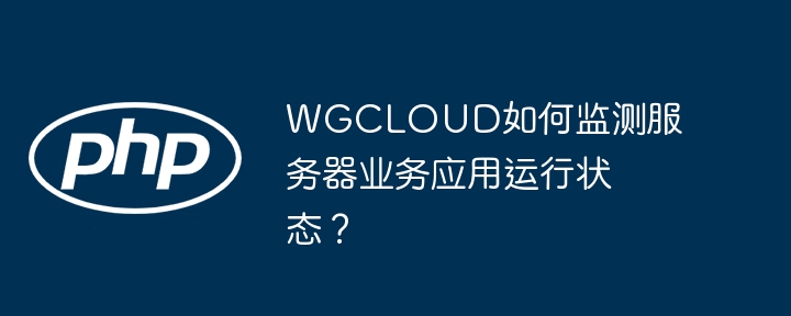 wgcloud如何监测服务器业务应用运行状态？