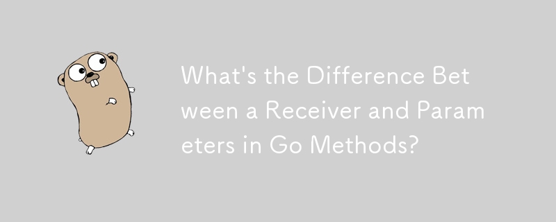 What\'s the Difference Between a Receiver and Parameters in Go Methods?