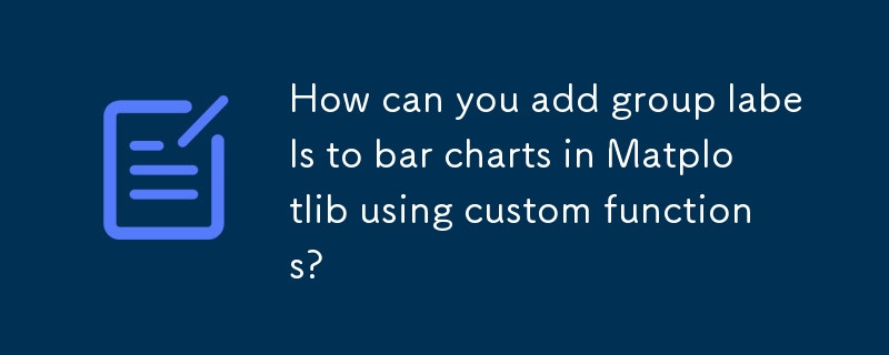 How can you add group labels to bar charts in Matplotlib using custom functions?