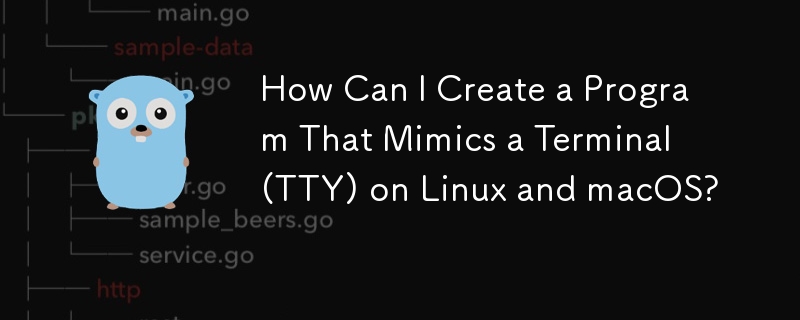 Linux および macOS 上でターミナル (TTY) を模倣するプログラムを作成するにはどうすればよいですか?