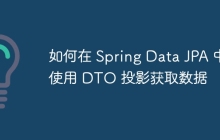 如何在 Spring Data JPA 中使用 DTO 投影获取数据