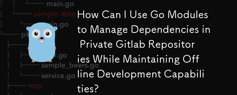 オフライン開発機能を維持しながら、Go モジュールを使用してプライベート Gitlab リポジトリの依存関係を管理するにはどうすればよいですか?