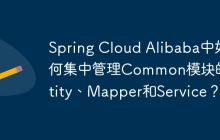 Spring Cloud Alibaba中如何集中管理Common模块的Entity、Mapper和Service？