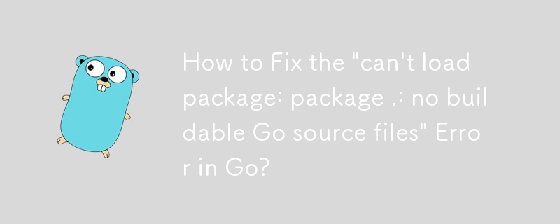 如何修復 Go 中的'can't load package: package .: no buildable Go source files”錯誤？