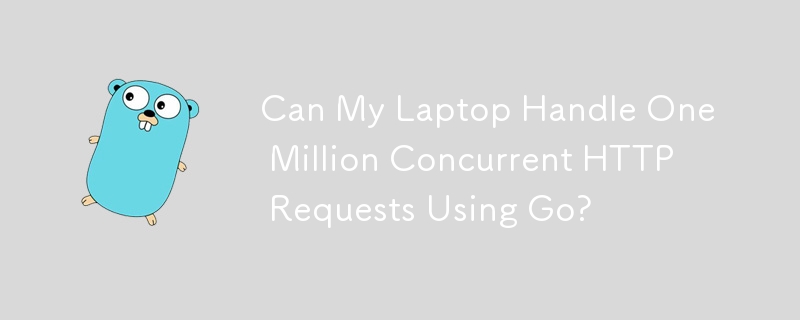 Can My Laptop Handle One Million Concurrent HTTP Requests Using Go?