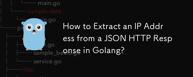 如何在 Golang 中從 JSON HTTP 回應中提取 IP 位址？