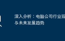 深入分析：电脑公司行业现状与未来发展趋势
