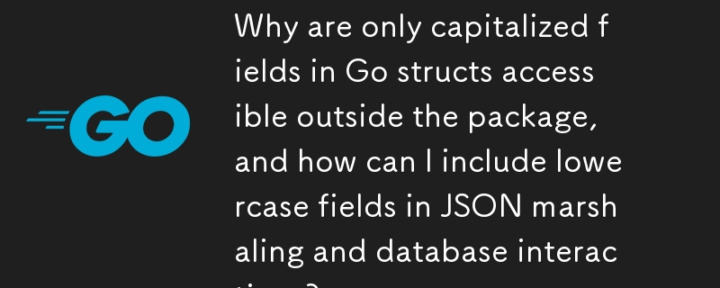 Go 構造体の大文字フィールドのみがパッケージ外からアクセスできるのはなぜですか?また、JSON マーシャリングやデータベース インタラクションに小文字フィールドを含めるにはどうすればよいですか?