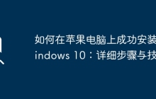 如何在苹果电脑上成功安装Windows 10：详细步骤与技巧