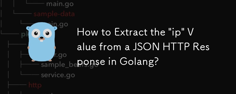 如何從 Golang 中的 JSON HTTP 回應中提取'ip”值？