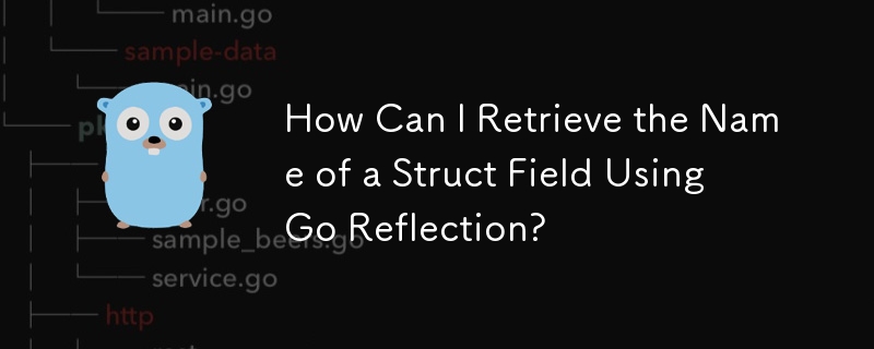 Go Reflection を使用して構造体フィールドの名前を取得するにはどうすればよいですか?