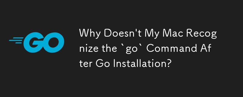 Why Doesn't My Mac Recognize the `go` Command After Go Installation?