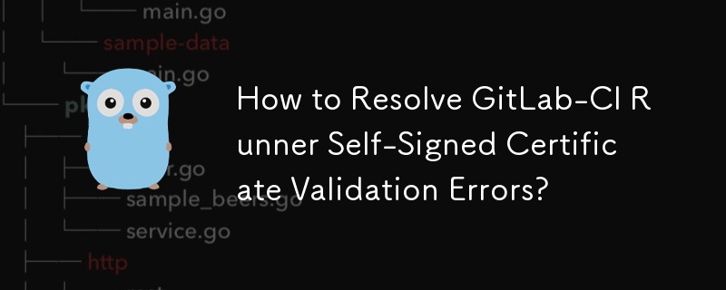 How to Resolve GitLab-CI Runner Self-Signed Certificate Validation Errors?