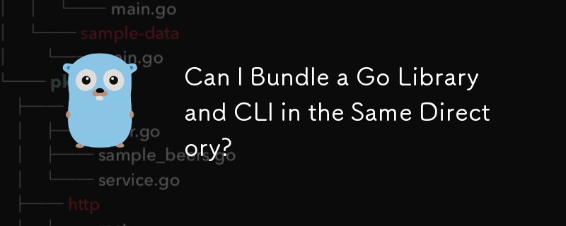 我可以将 Go 库和 CLI 捆绑在同一目录中吗？