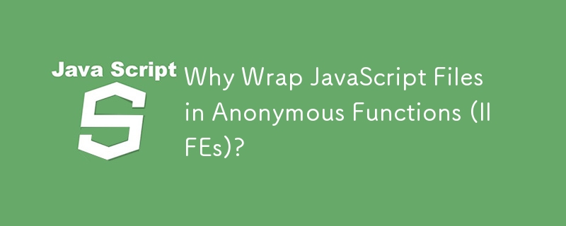 為什麼將 JavaScript 檔案包裝在匿名函數 (IIFE) 中？