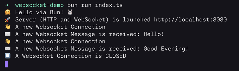 WebSocket with JavaScript and Bun