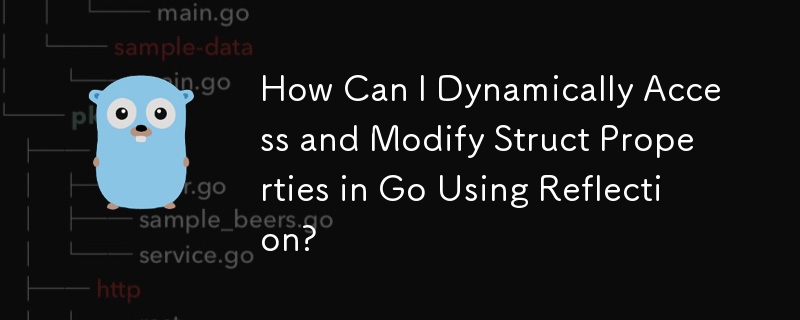 How Can I Dynamically Access and Modify Struct Properties in Go Using Reflection?