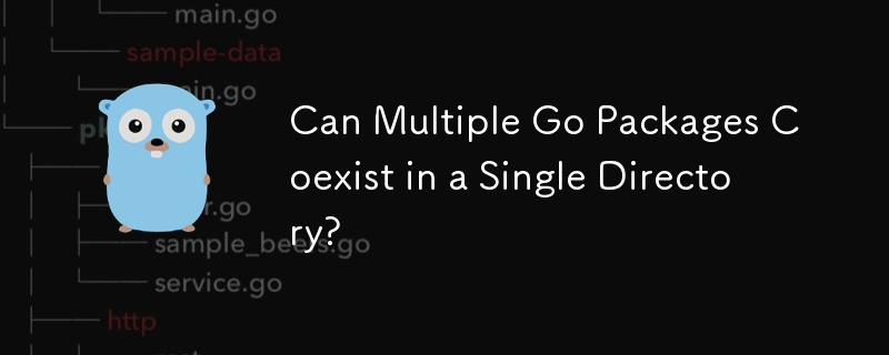 複数の Go パッケージを 1 つのディレクトリに共存できますか?