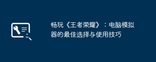 畅玩《王者荣耀》：电脑模拟器的最佳选择与使用技巧