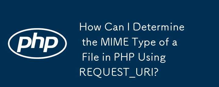 How Can I Determine the MIME Type of a File in PHP Using REQUEST_URI?