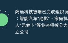 商汤科技被曝已完成组织调整：智能汽车”绝影”、家庭机器人“元萝卜”等业务将拆分为独立公司