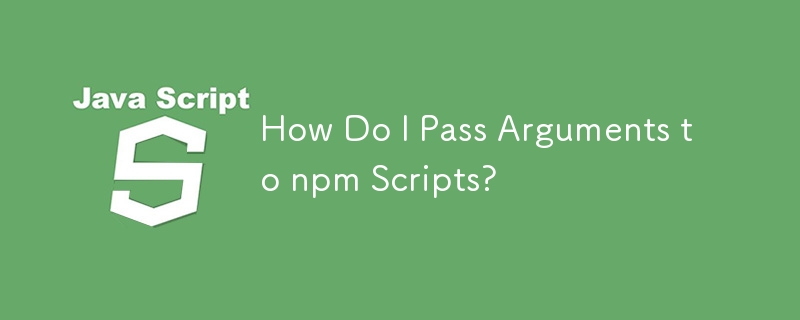 如何將參數傳遞給 npm 腳本？