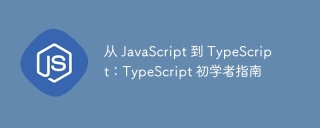 从 JavaScript 到 TypeScript：TypeScript 初学者指南