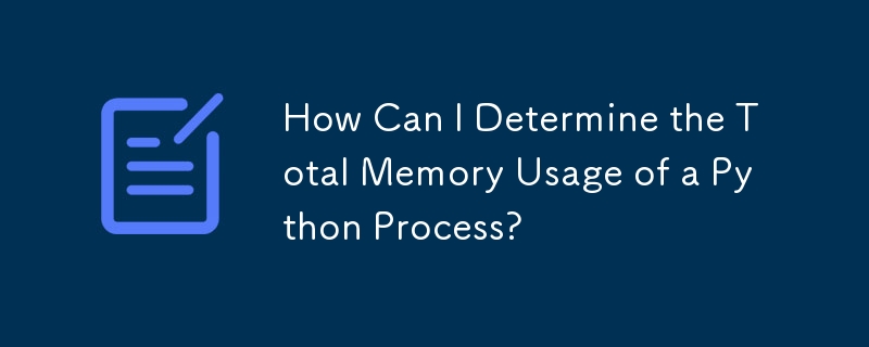 How Can I Determine the Total Memory Usage of a Python Process?