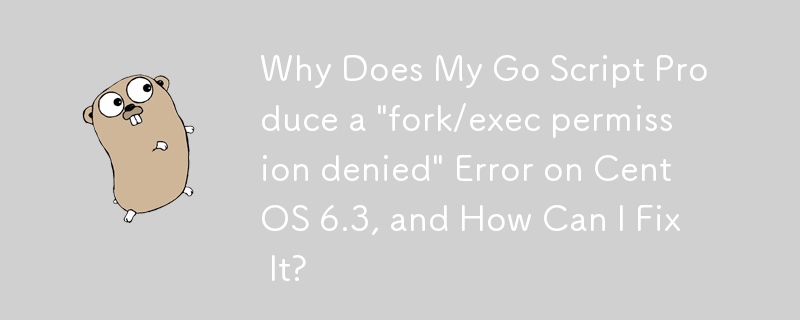 Why Does My Go Script Produce a \'fork/exec permission denied\' Error on CentOS 6.3, and How Can I Fix It?