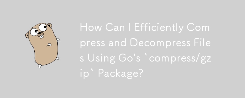 How Can I Efficiently Compress and Decompress Files Using Go's `compress/gzip` Package?