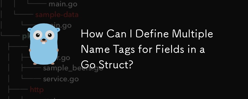 How Can I Define Multiple Name Tags for Fields in a Go Struct?