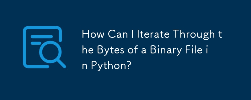 How Can I Iterate Through the Bytes of a Binary File in Python?