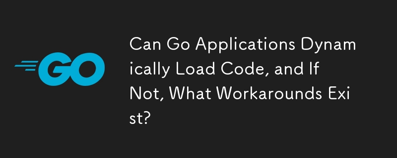 Go 應用程式可以動態載入程式碼嗎？