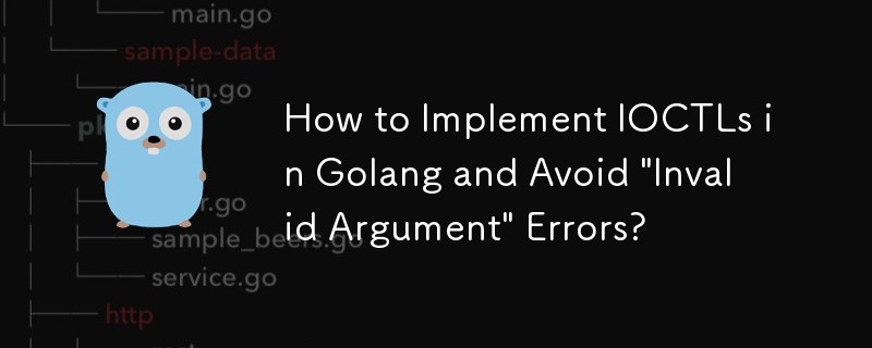 如何在 Golang 中實現 IOCTL 並避免'無效參數”錯誤？