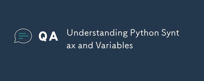 Python の構文と変数を理解する