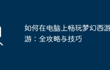 如何在电脑上畅玩梦幻西游手游:全攻略与技巧