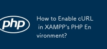 XAMPP의 PHP 환경에서 cURL을 활성화하는 방법은 무엇입니까?