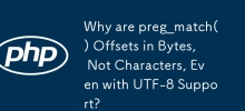 UTF-8 지원에도 불구하고 preg_match() 오프셋이 문자가 아닌 바이트 단위인 이유는 무엇입니까?