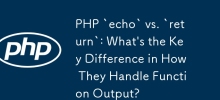 PHP `echo`와 `return`: 함수 출력을 처리하는 방법의 주요 차이점은 무엇입니까?