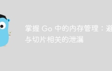 掌握 Go 中的内存管理：避免与切片相关的泄漏