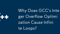 GCC の整数オーバーフロー最適化により無限ループが発生するのはなぜですか?