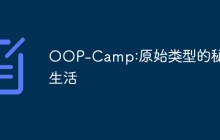 OOP-Camp:原始类型的秘密生活