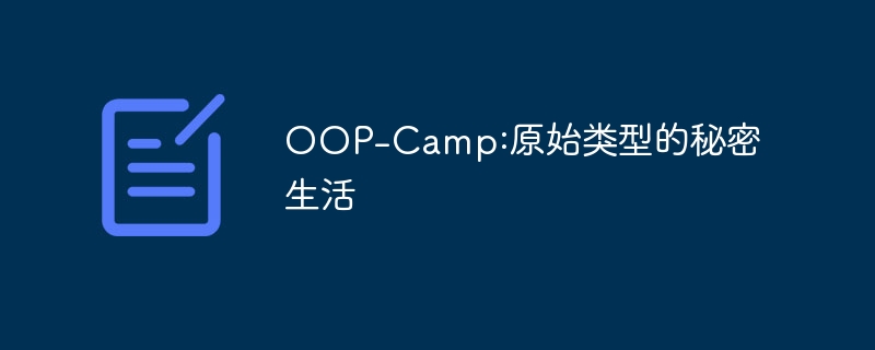 OOP-Camp:原始类型的秘密生活 - 小浪资源网